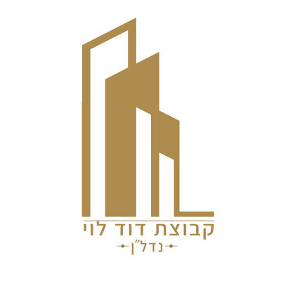 דודי לוי