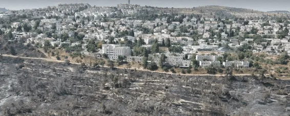 חדש משרד להשכרה בכל הארץ תמורת דמי מנוי