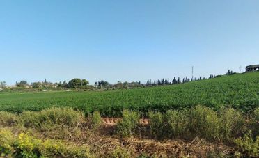 קרקע למכירה בבן יהודה צפון- תמל כפר סבא
