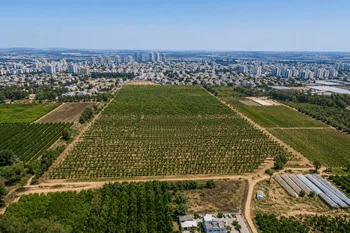 למכירה מגרש חקלאי גדול בנס ציונה