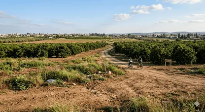 למכירה קרקע במתחם חרודי נס ציונה