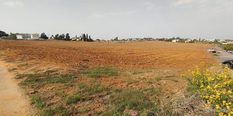 למכירה קרקע חקלאית באבן יהודה