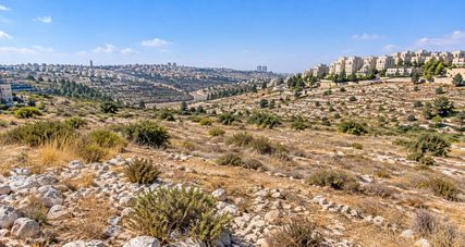 קרקע למכירה בפסגת זאב