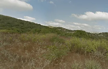 למכירה מגרש חקלאי בזכרון יעקב