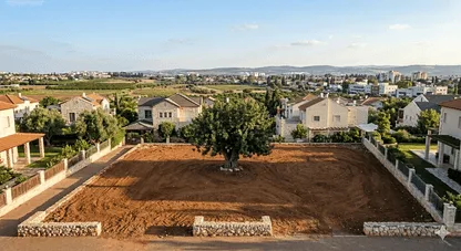 מגרש למכירה בנס ציונה מתחם המייסדים