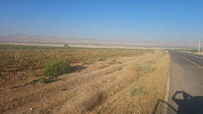מגרש חקלאי עם תב"ע מאושרת לבנות לולים