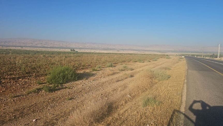 מגרש חקלאי עם תב"ע מאושרת לבנות לולים