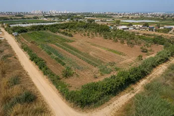 למכירה מגרש  חקלאי אשדוד 700 מ"ר
