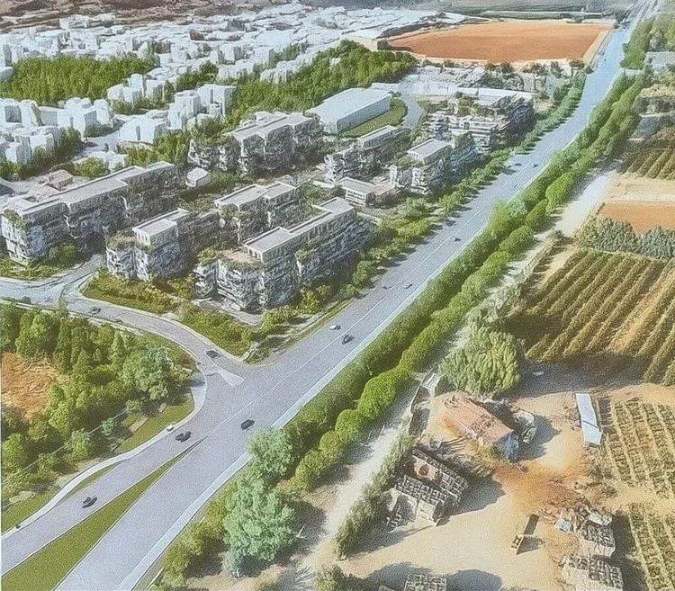 שיווק מוקדם של 50 יחי' בהפנים לחצור