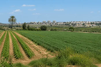 קרקע חקלאית למכירה בגדרה