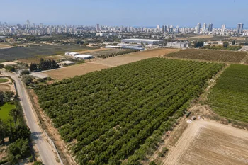 קרקע חקלאית למכירה במרכז